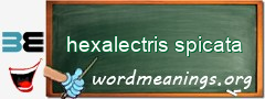 WordMeaning blackboard for hexalectris spicata